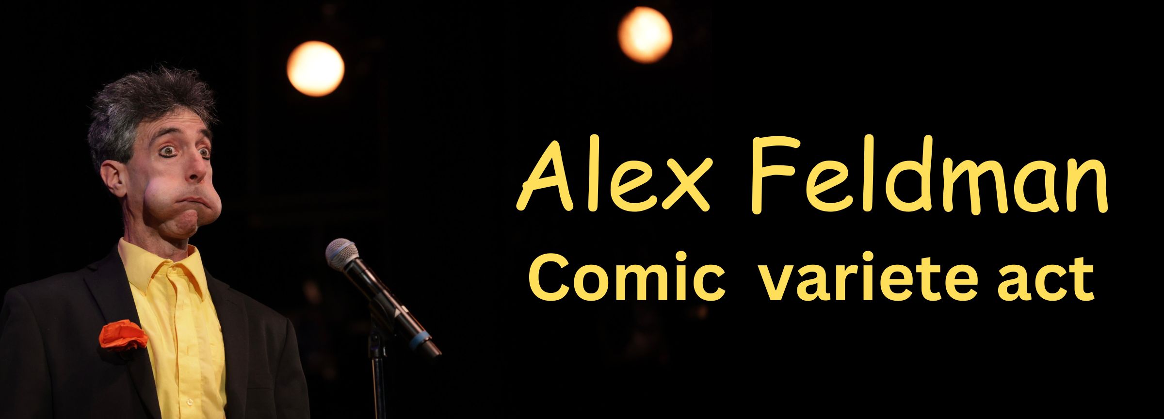Alex Feldman alternative comedy and unique variety act. 